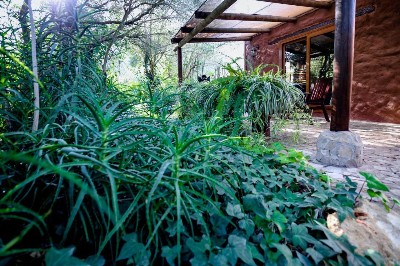 Tikal Boungalows Hotel Malcocinado  ภายนอก รูปภาพ