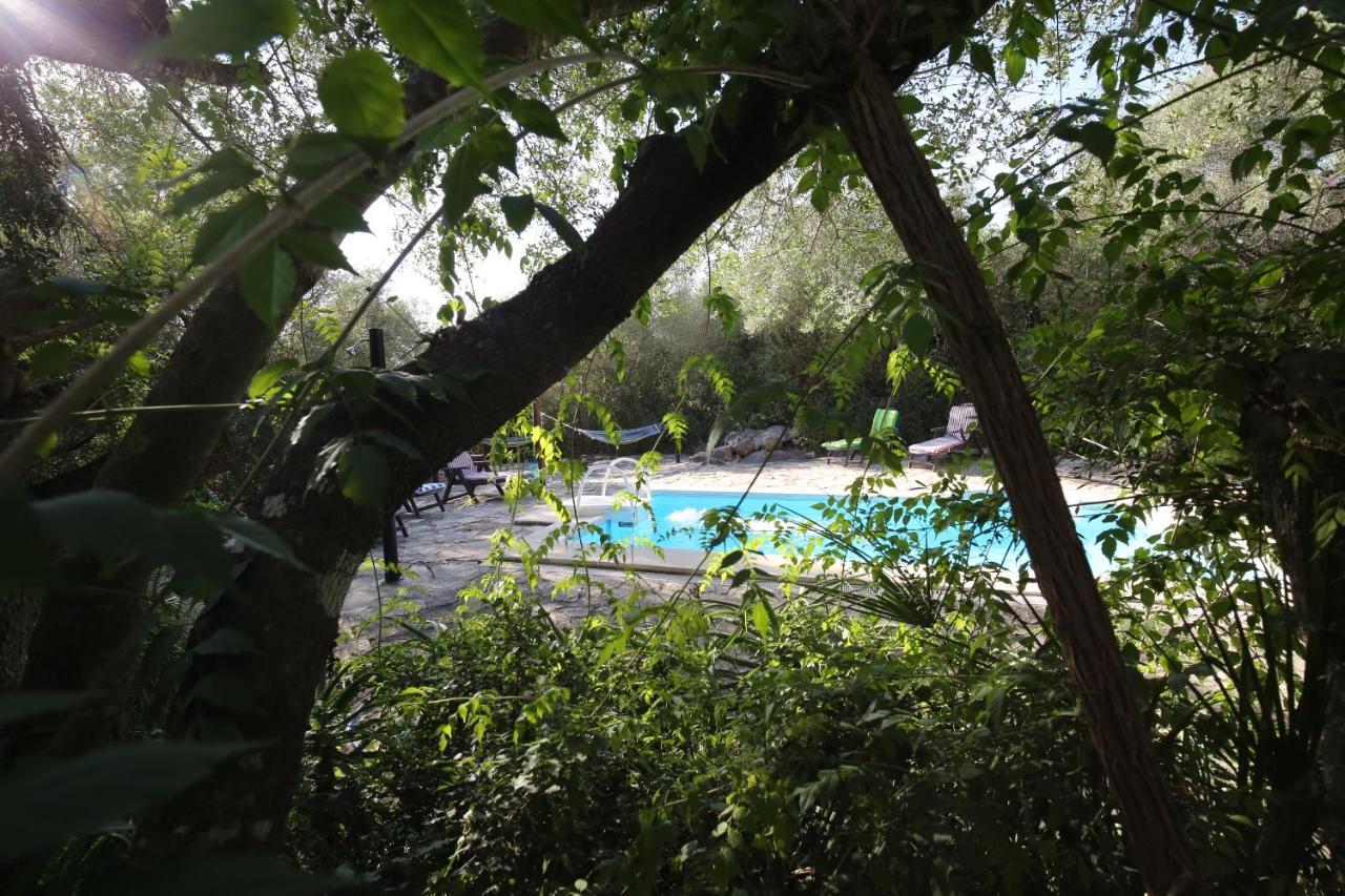 Tikal Boungalows Hotel Malcocinado  ภายนอก รูปภาพ